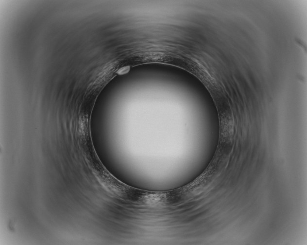 X0000097490126200802291442