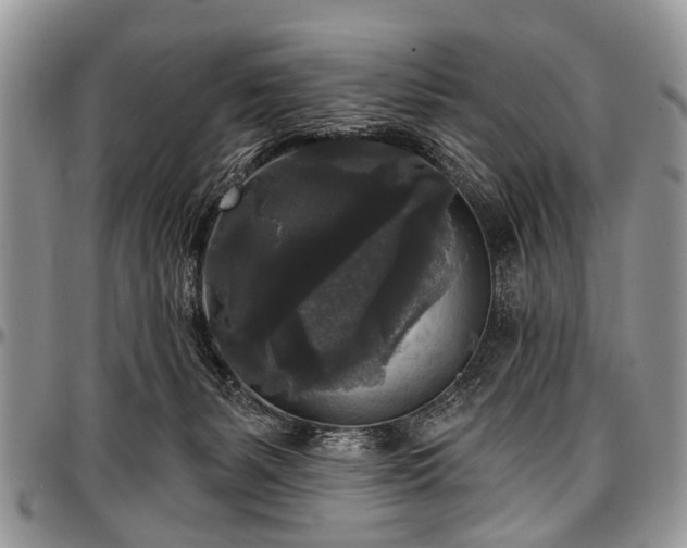 X0000097490127200802291442