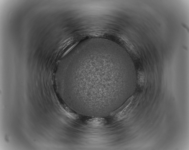 X0000097490128200802291442