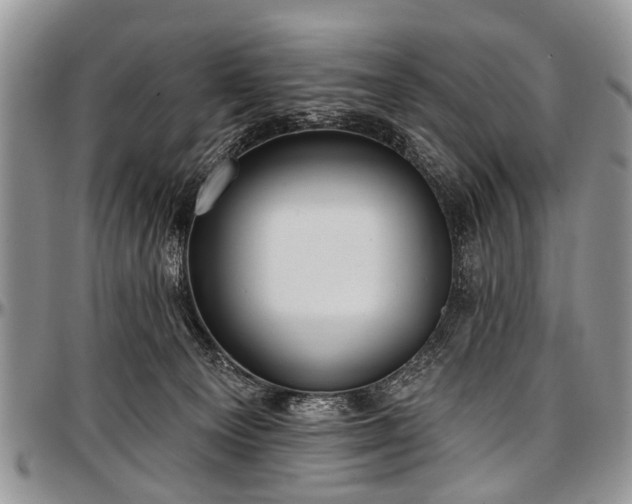 X0000097490129200802291442