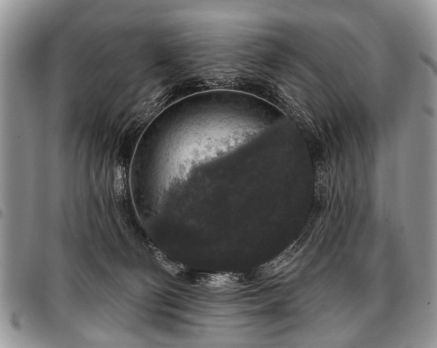 X0000097490130200802291442