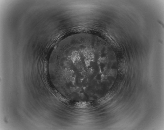 X0000097490131200802291442