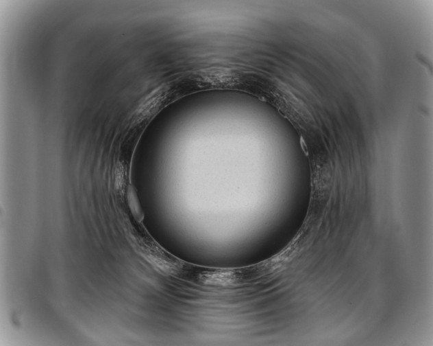 X0000097490132200802291442