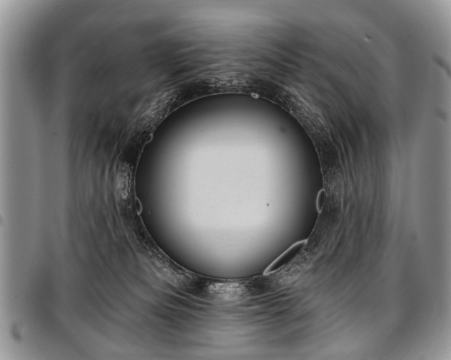 X0000097490133200802291442