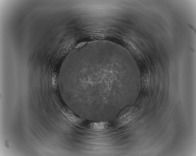 X0000097490134200802291442