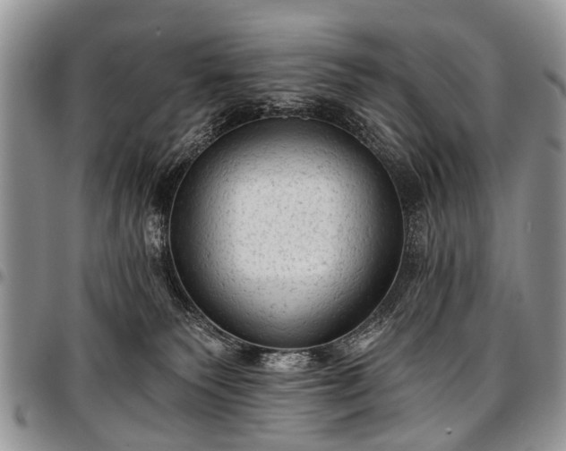 X0000097490135200802291442