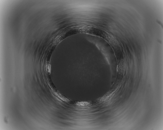 X0000097490137200802291442