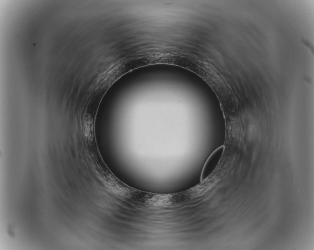 X0000097490138200802291442