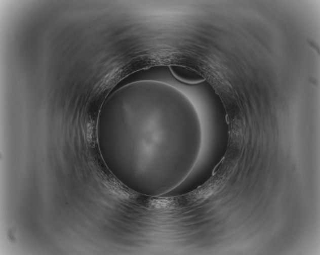 X0000097490139200802291442