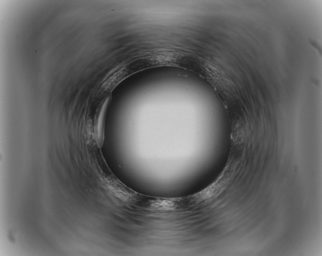 X0000097490140200802291442