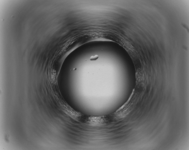 X0000097490141200802291442