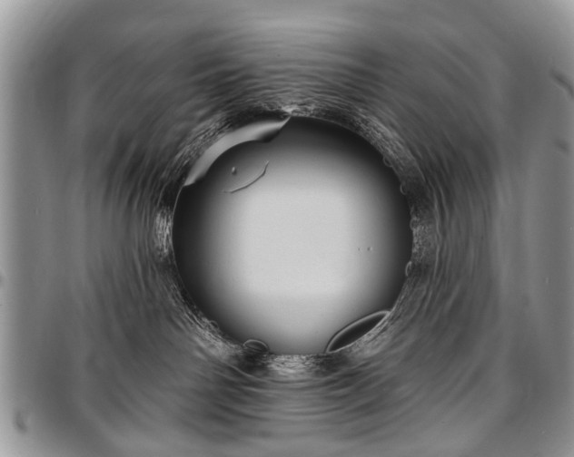 X0000097490142200802291442