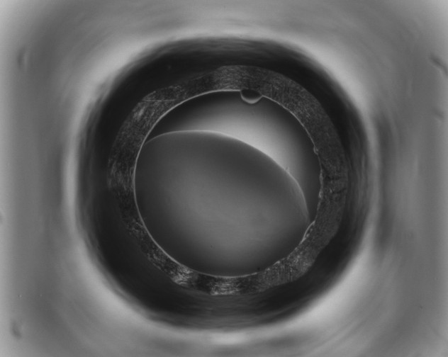 X0000097490143200802291442