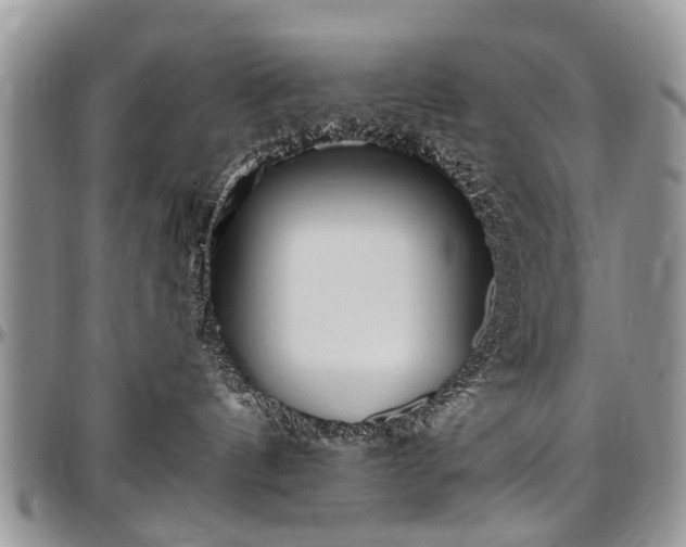 X0000097490144200802291442