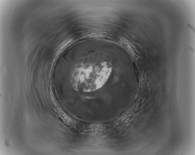 X0000097490145200802291441