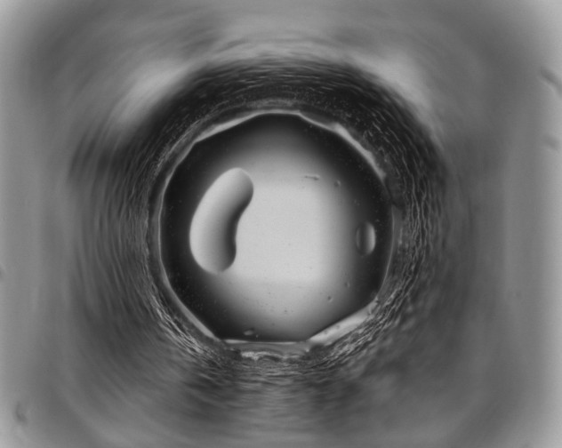 X0000097490146200802291441