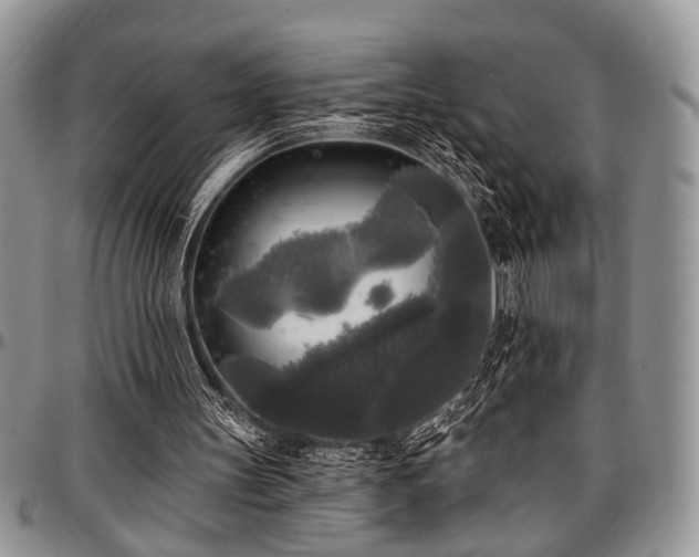 X0000097490147200802291441