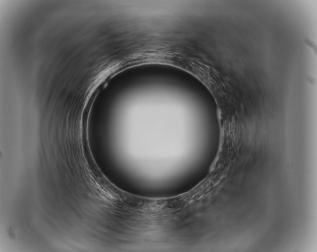 X0000097490148200802291441