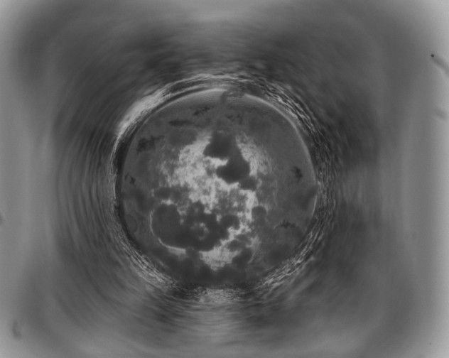 X0000097490149200802291441