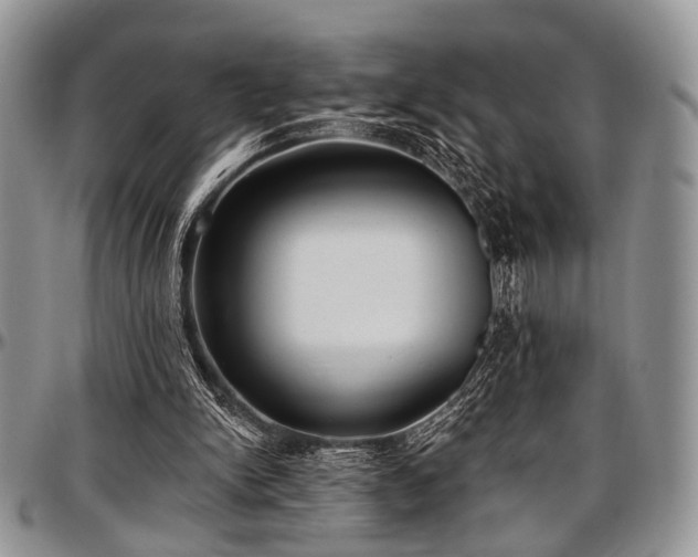 X0000097490150200802291441