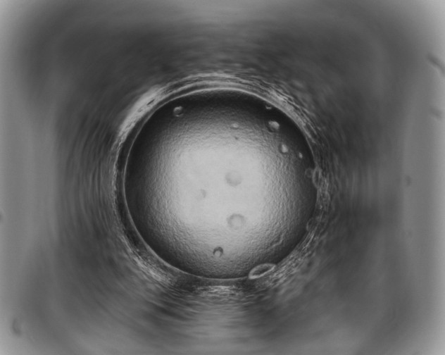 X0000097490151200802291441