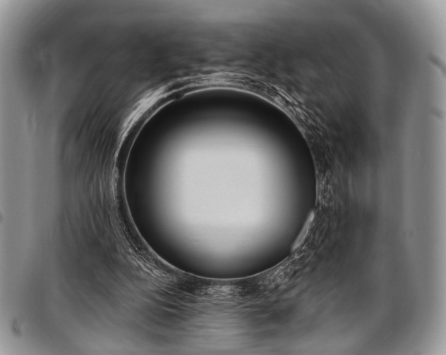 X0000097490152200802291441