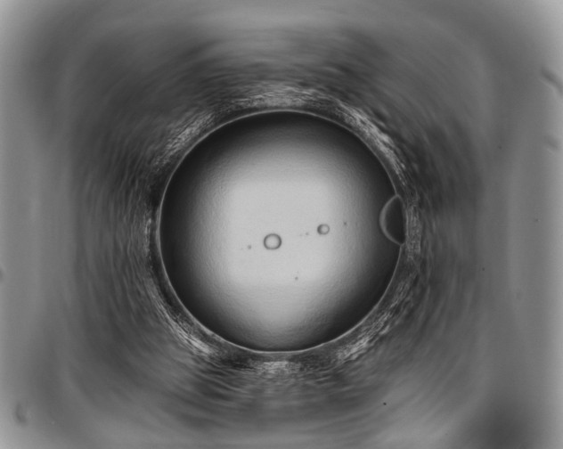 X0000097490153200802291441