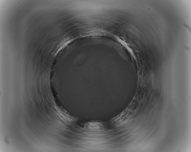 X0000097490154200802291441