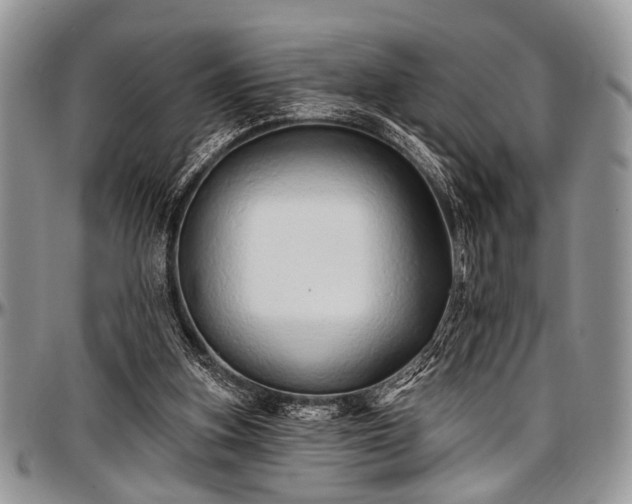 X0000097490155200802291441