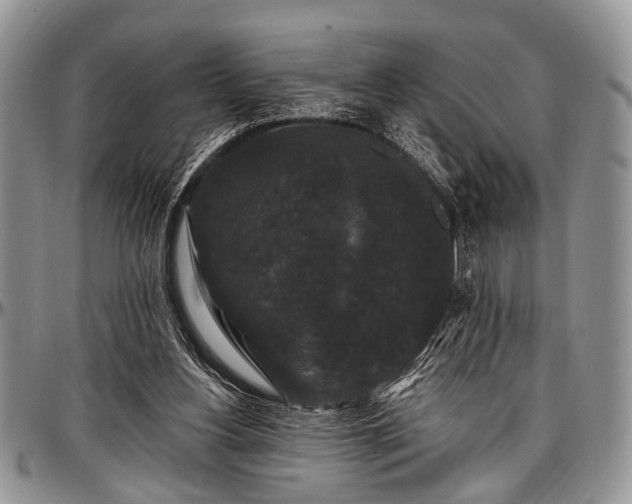 X0000097490156200802291441