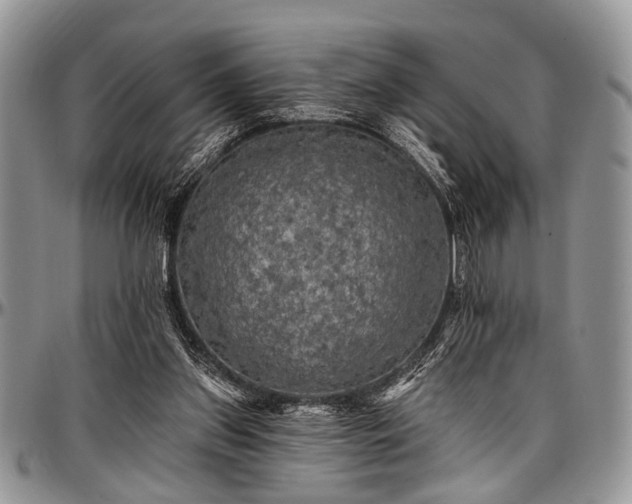 X0000097490157200802291441