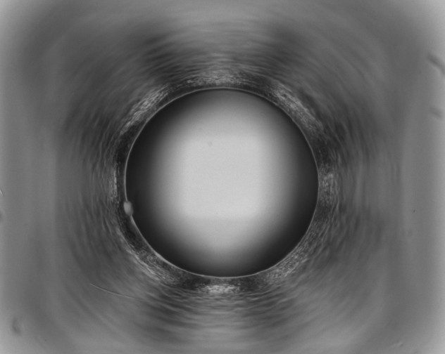 X0000097490158200802291441