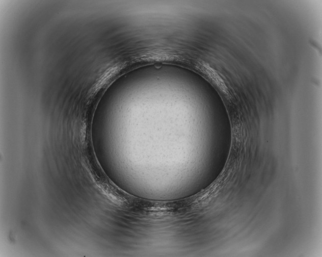 X0000097490159200802291441