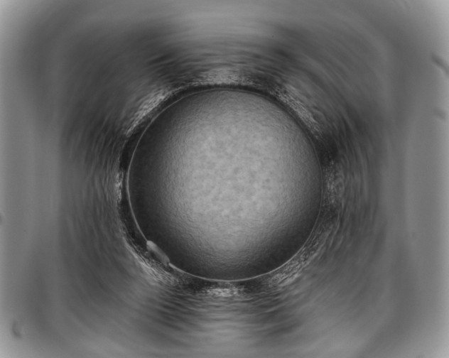 X0000097490160200802291441