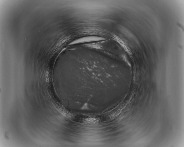 X0000097490161200802291441