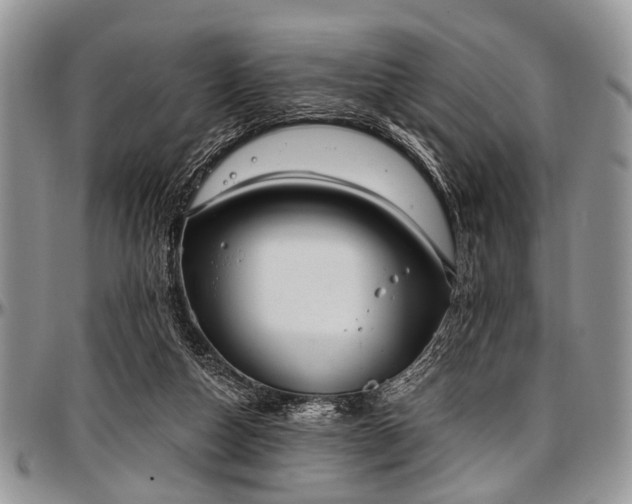 X0000097490162200802291441