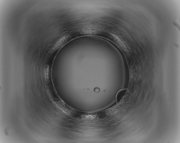 X0000097490163200802291441