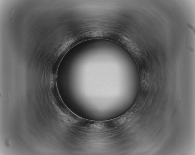 X0000097490164200802291441