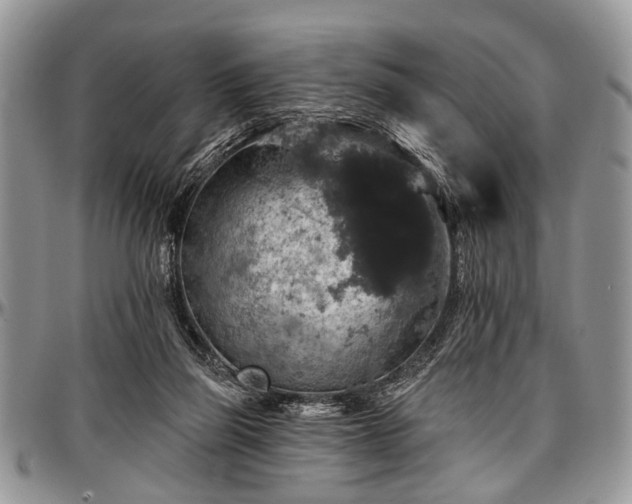 X0000097490165200802291441