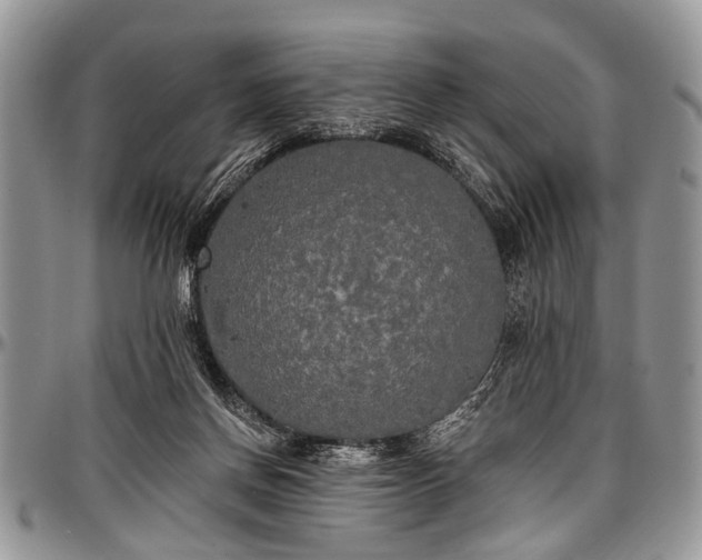 X0000097490166200802291441