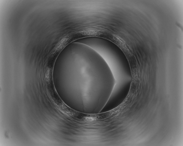 X0000097490167200802291441