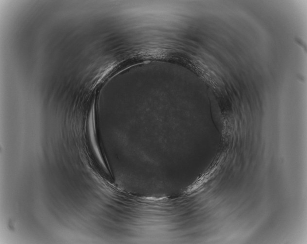 X0000097490168200802291441