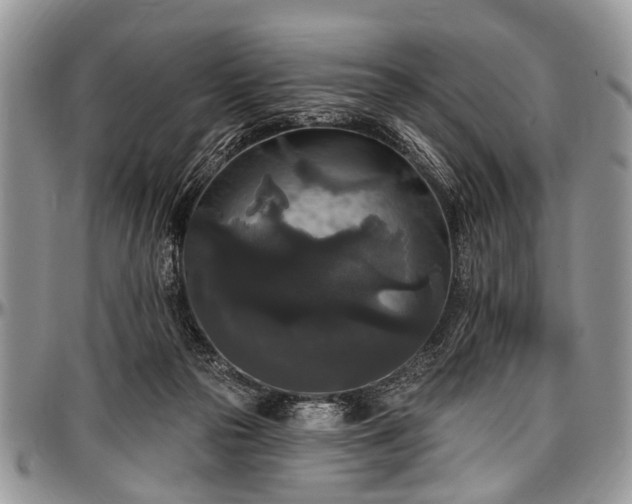 X0000097490169200802291441