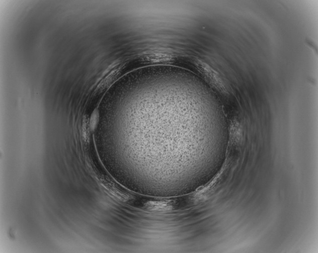 X0000097490170200802291441