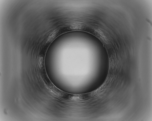 X0000097490171200802291441