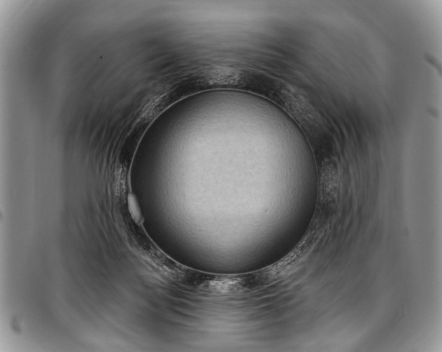 X0000097490172200802291441