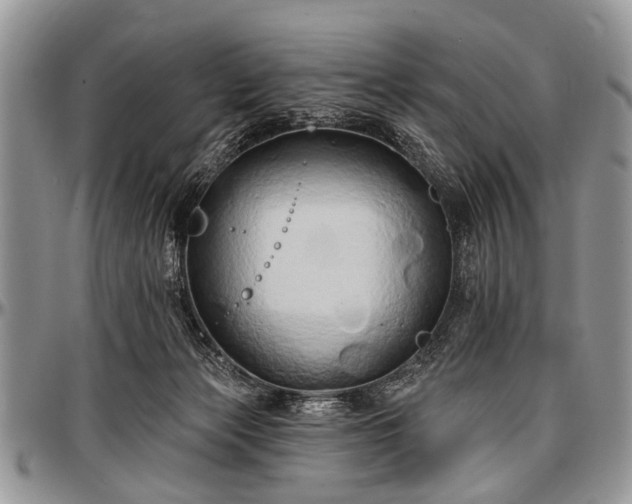 X0000097490173200802291441