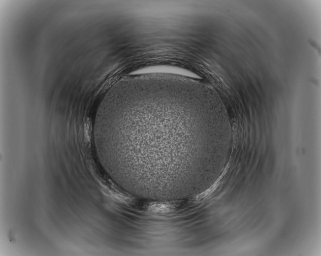 X0000097490174200802291441