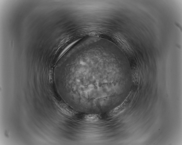 X0000097490175200802291441