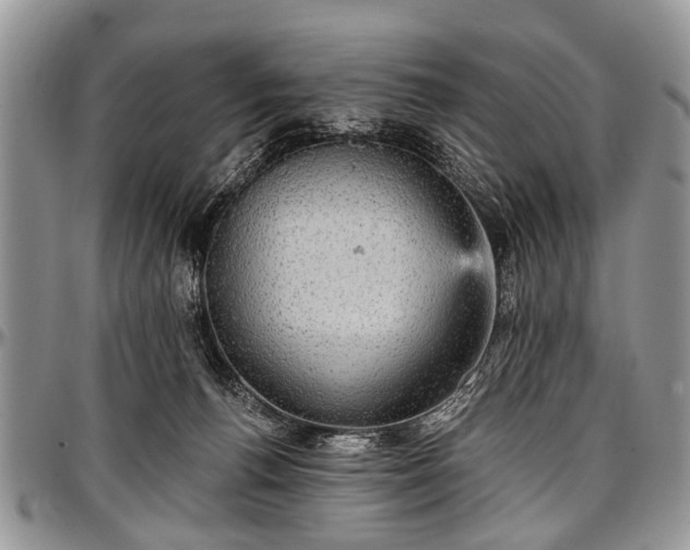 X0000097490176200802291441